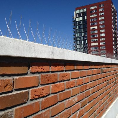 Duivenpinnen plaatsen